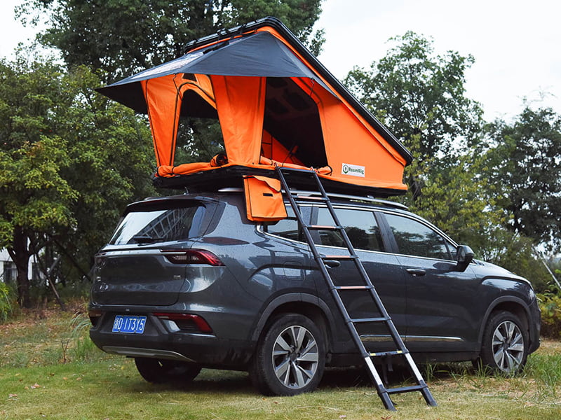 Campingtelt på taket med stige Campingtelt på taket med stige